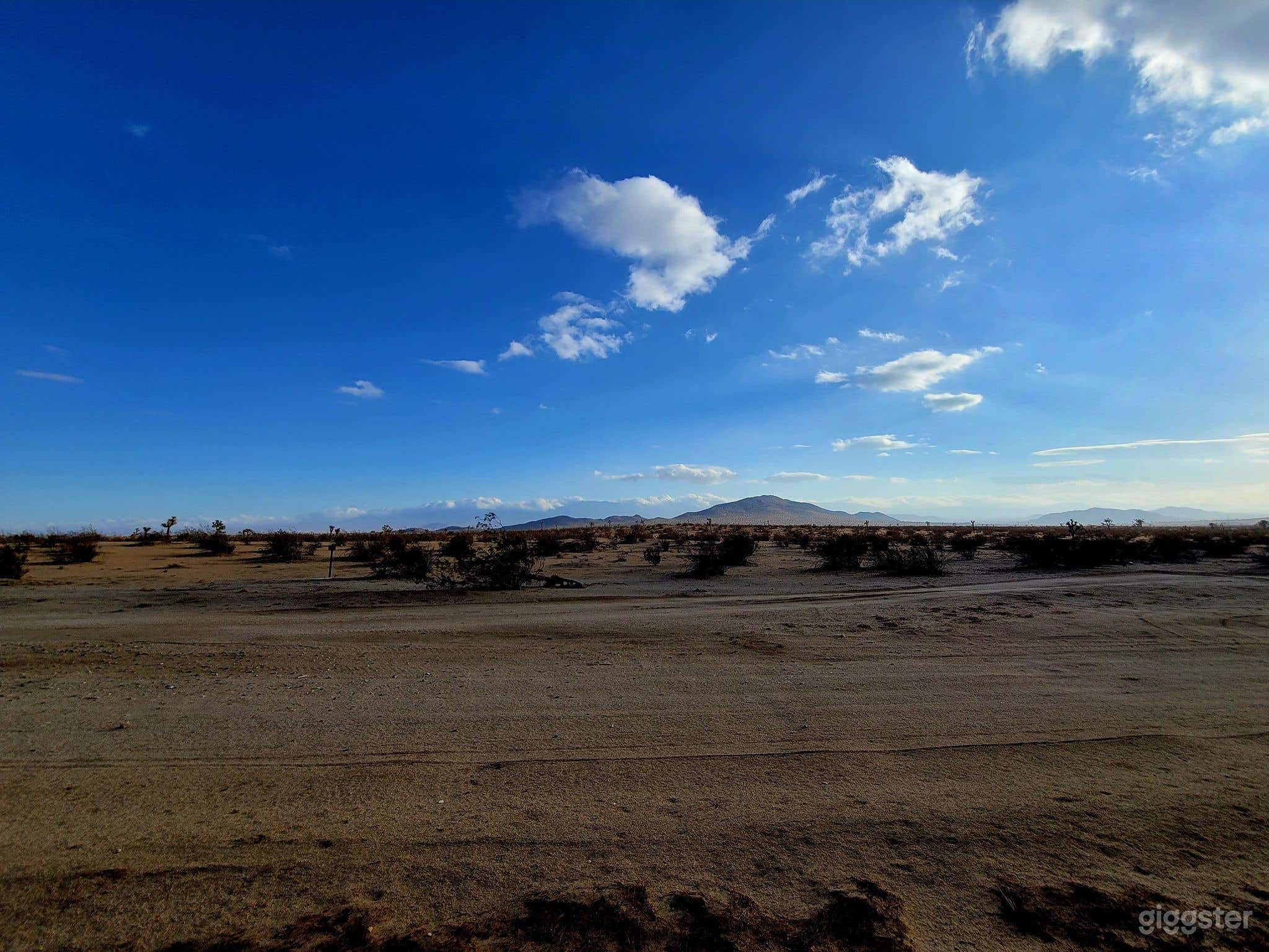 Property views from on the property; great backdrop for photos