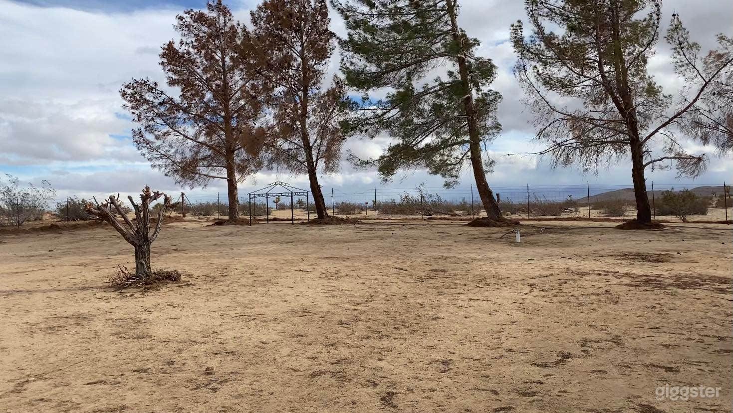 Front corner of property, brush cleared out. Perfect for crew and party sets