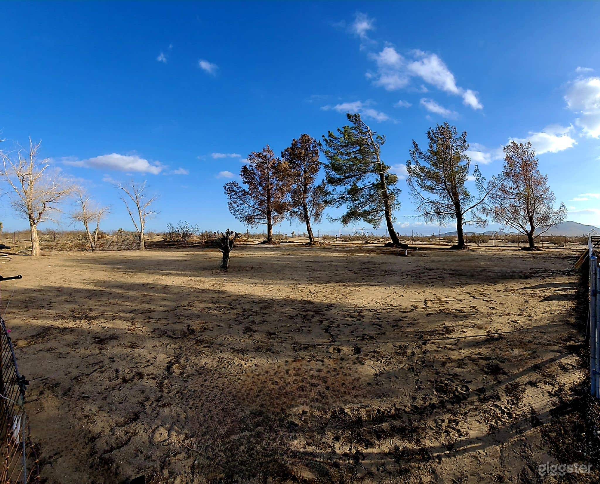 Front corner of property, brush cleared out. Perfect for crew and party sets