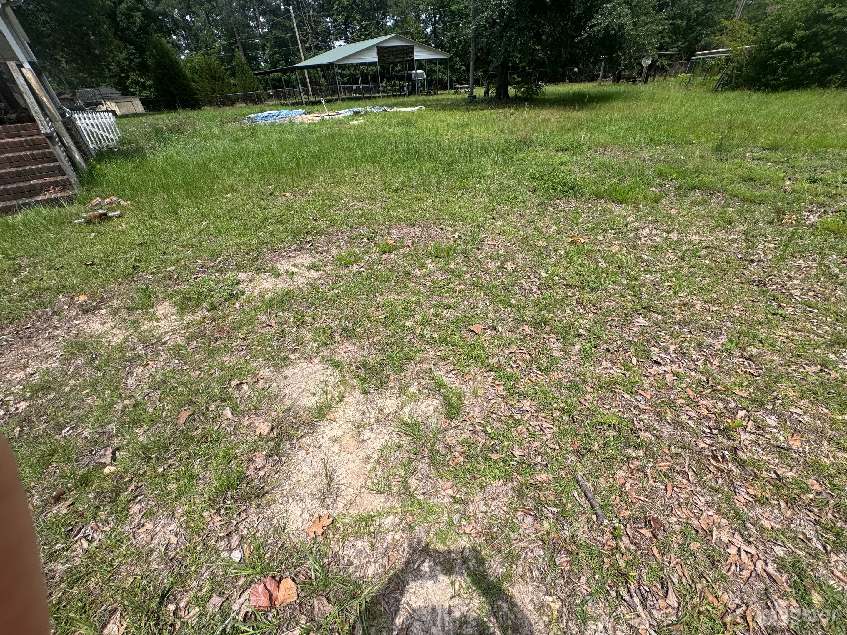 country backyard Photo 4
