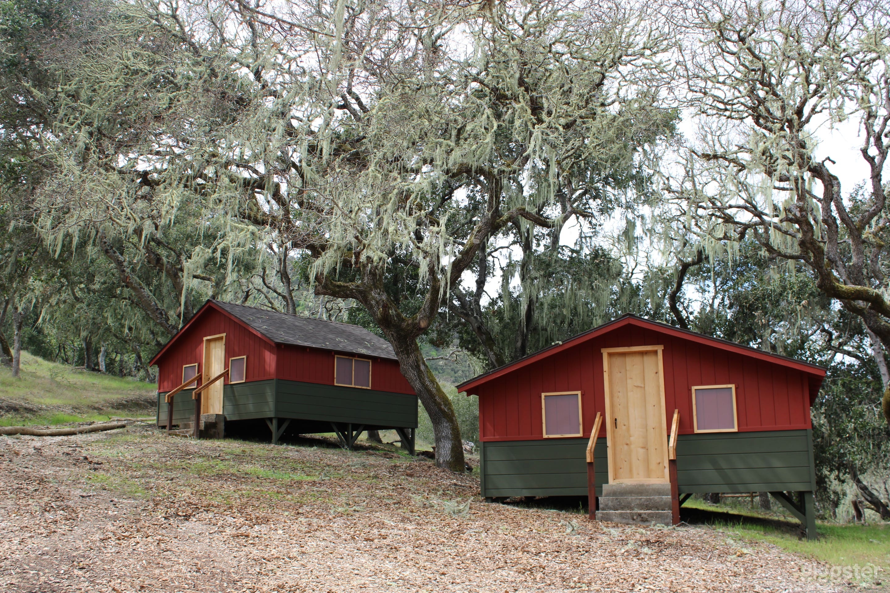 Solstice Camp Cabins