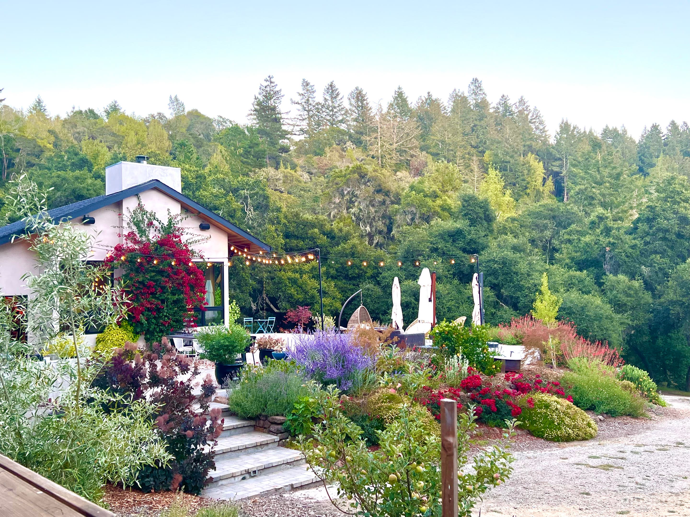 Modern Home in the Santa Cruz Mountains Photo 4