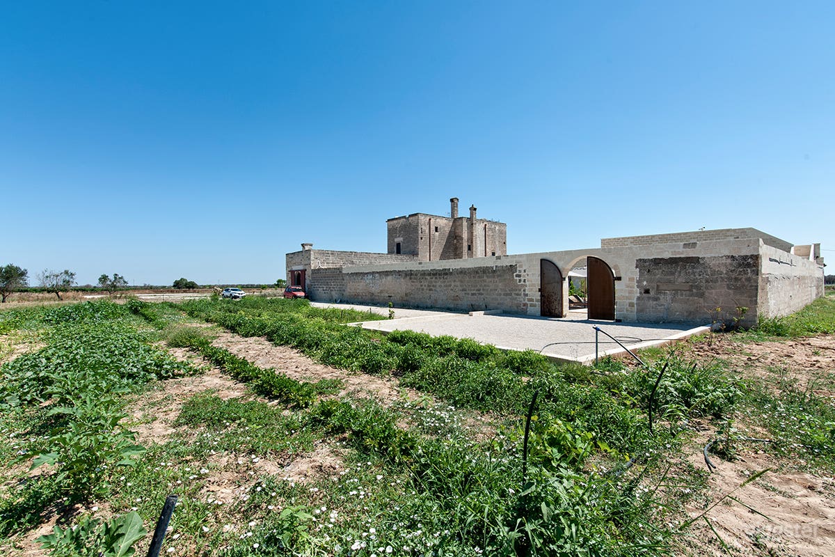 Foto di Raffinata Masseria Immersa nella Campagna Salentina 4