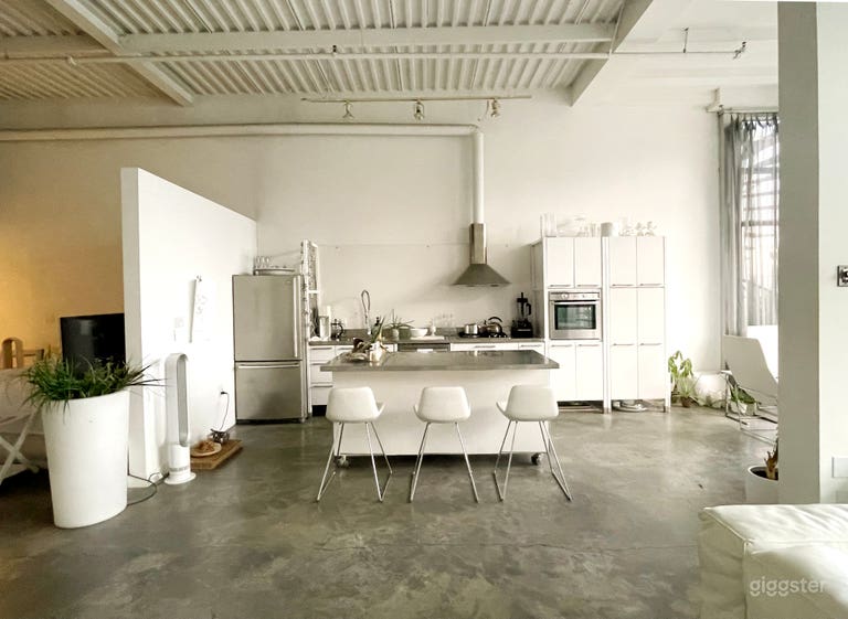  White Loft with open concept, deck and fireplace. 