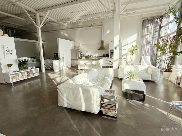  White Loft with open concept, deck and fireplace. 