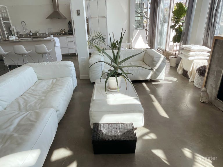  White Loft with open concept, deck and fireplace. 