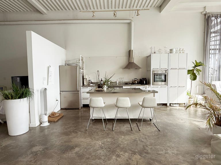  White Loft with open concept, deck and fireplace. 