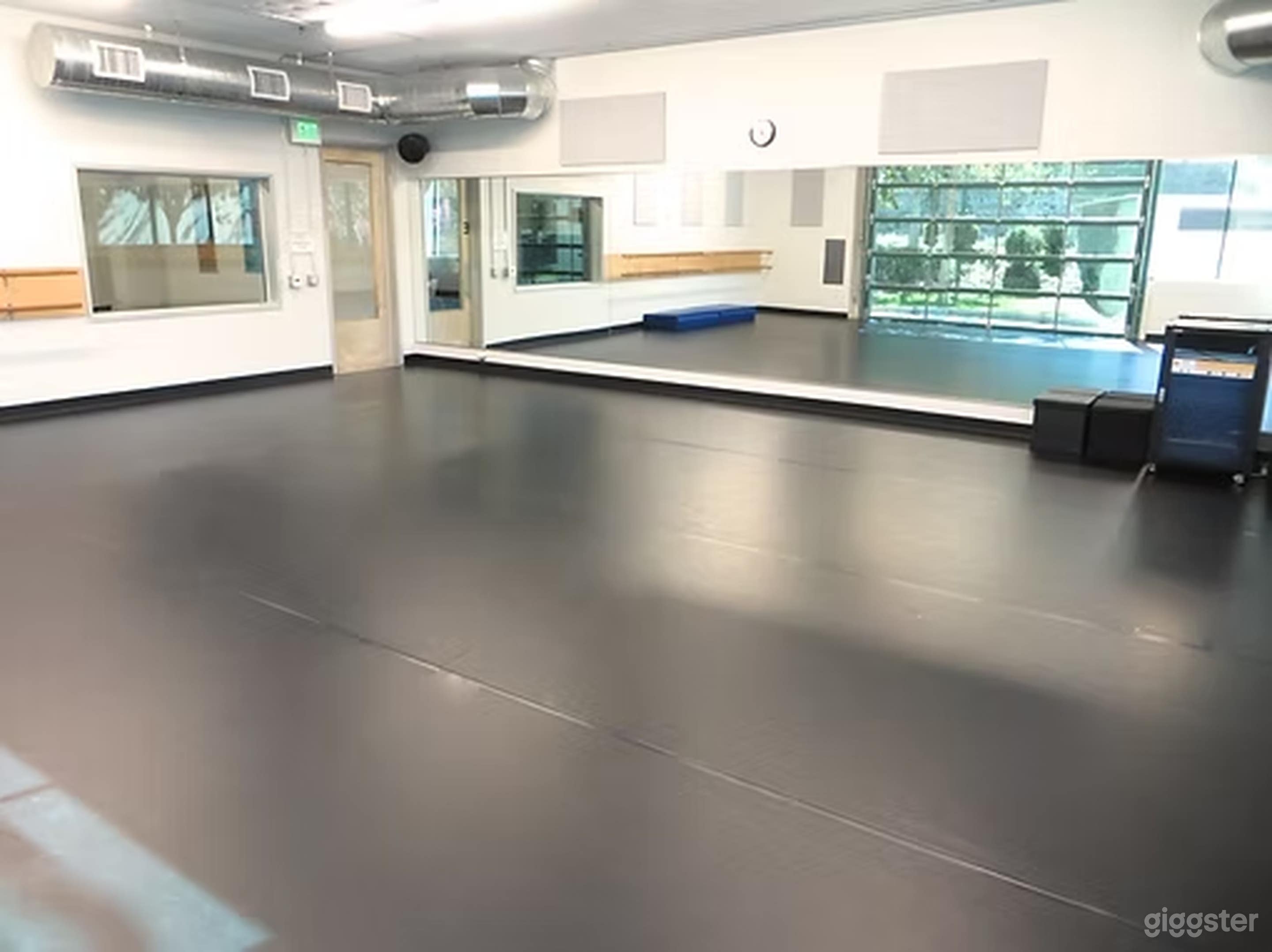 DANCE STUDIO F 820 sq ft Photo 1