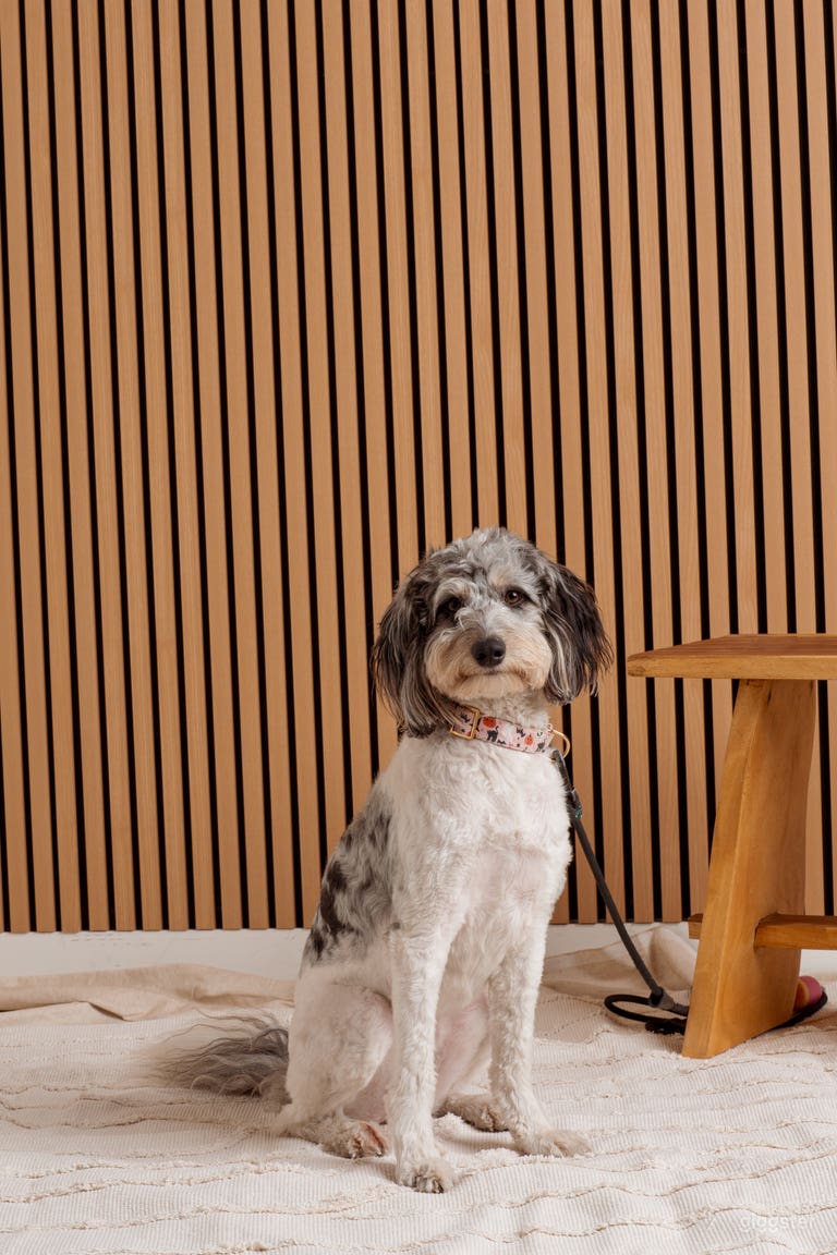  Mid Century Wood photos wall 