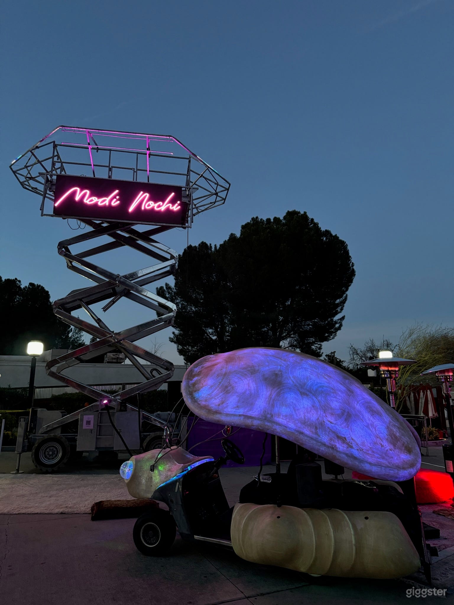 Drivable Ladybug Art Car Photo 4