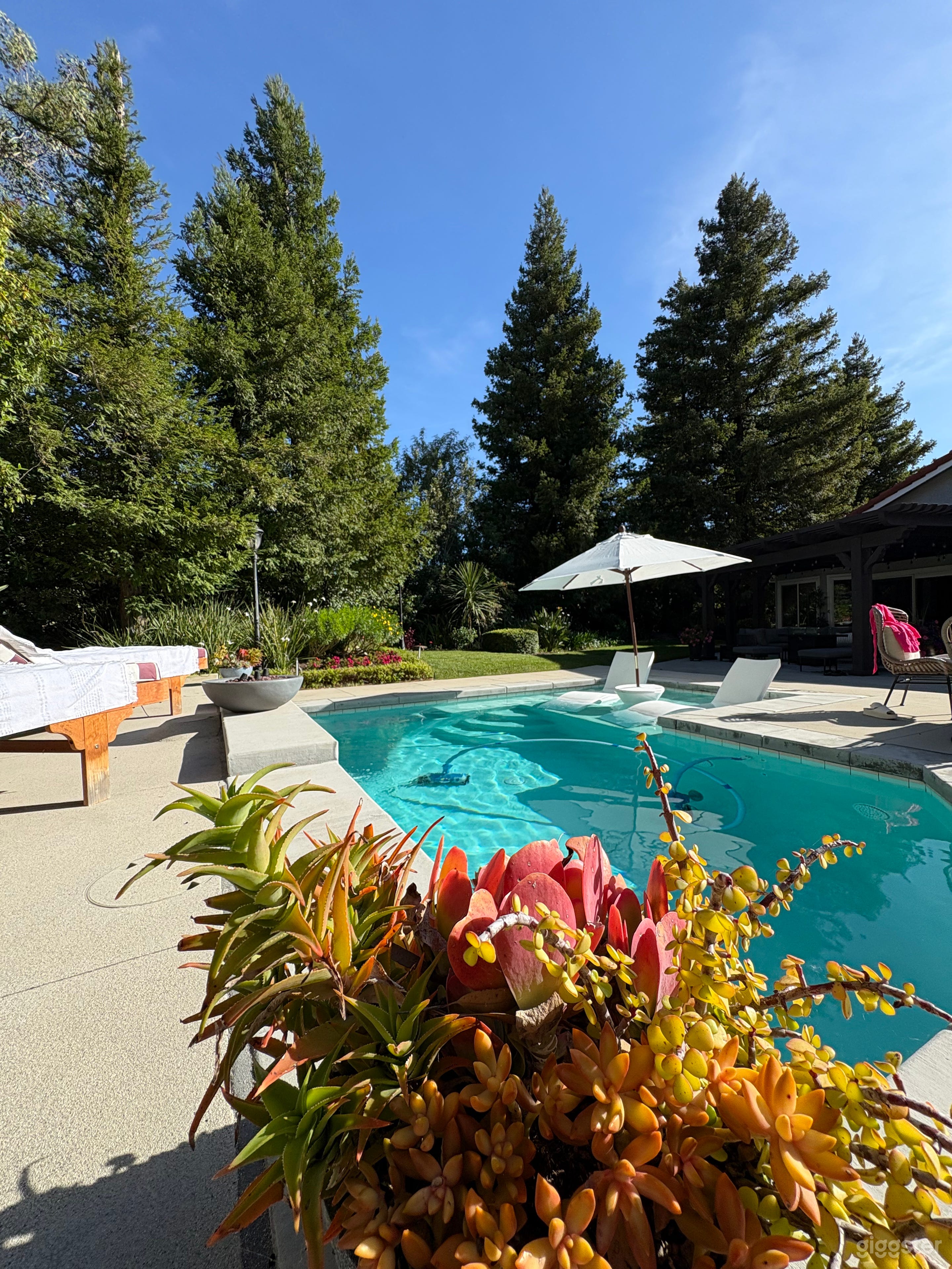 Enchanted Forest, Red Woods, Ranch Style Backyard Photo 3