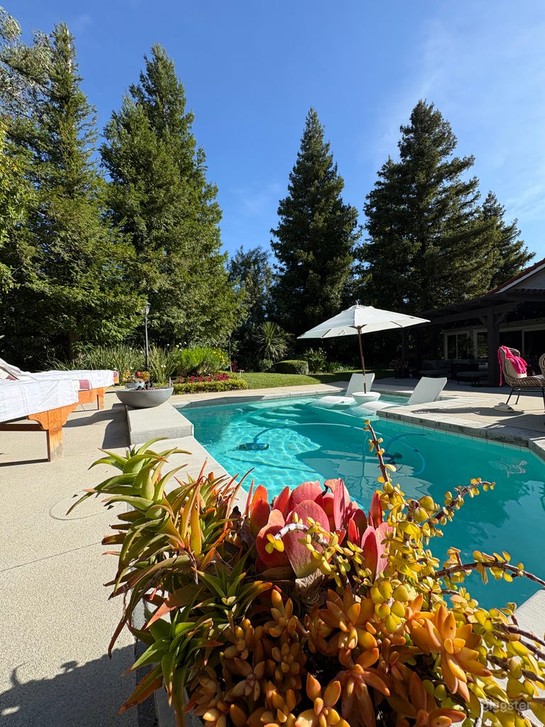  Enchanted Forest, Red Woods, Ranch Style Backyard 