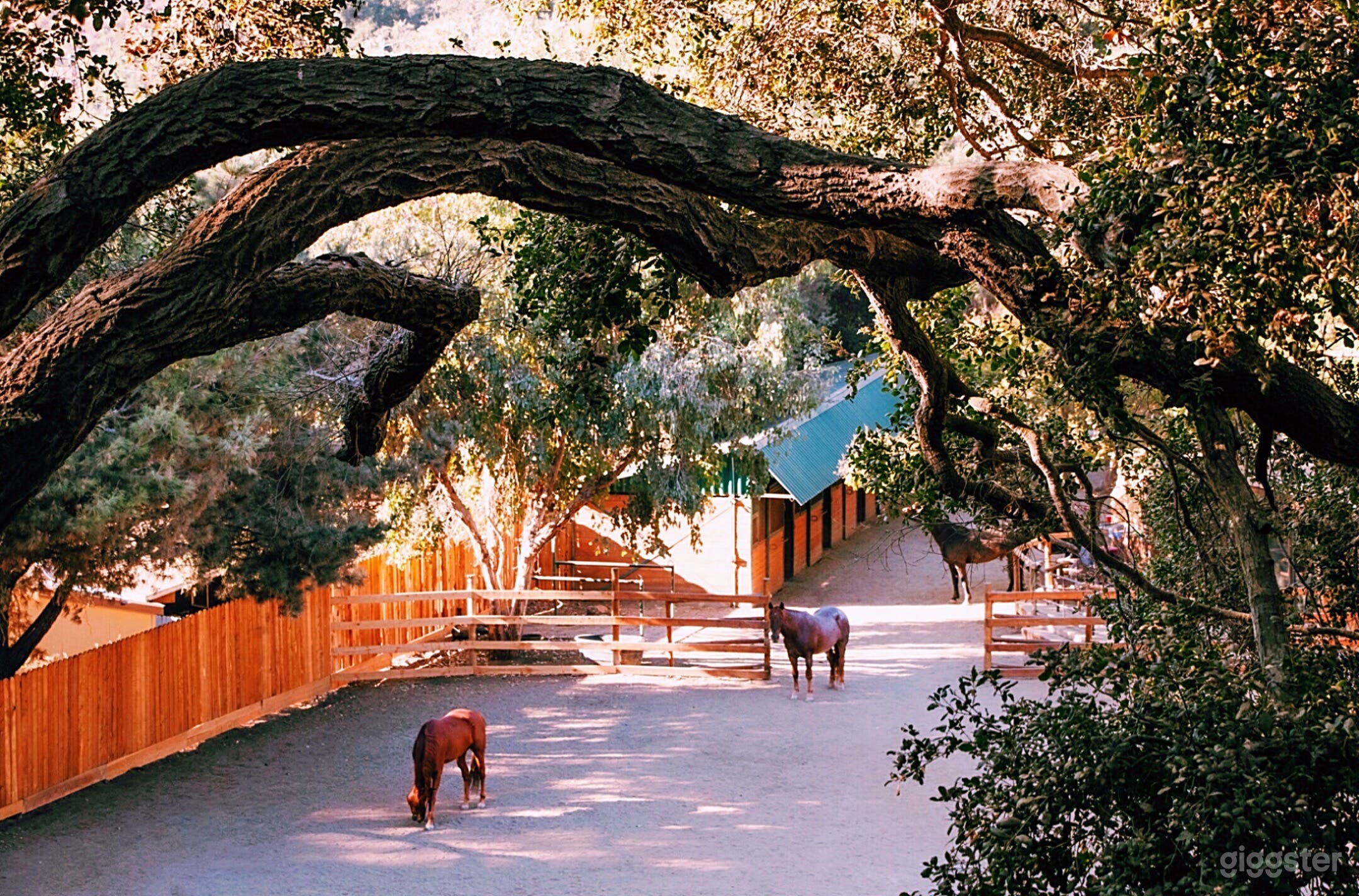 Mid Century Ranch in Malibu Canyon Photo 1