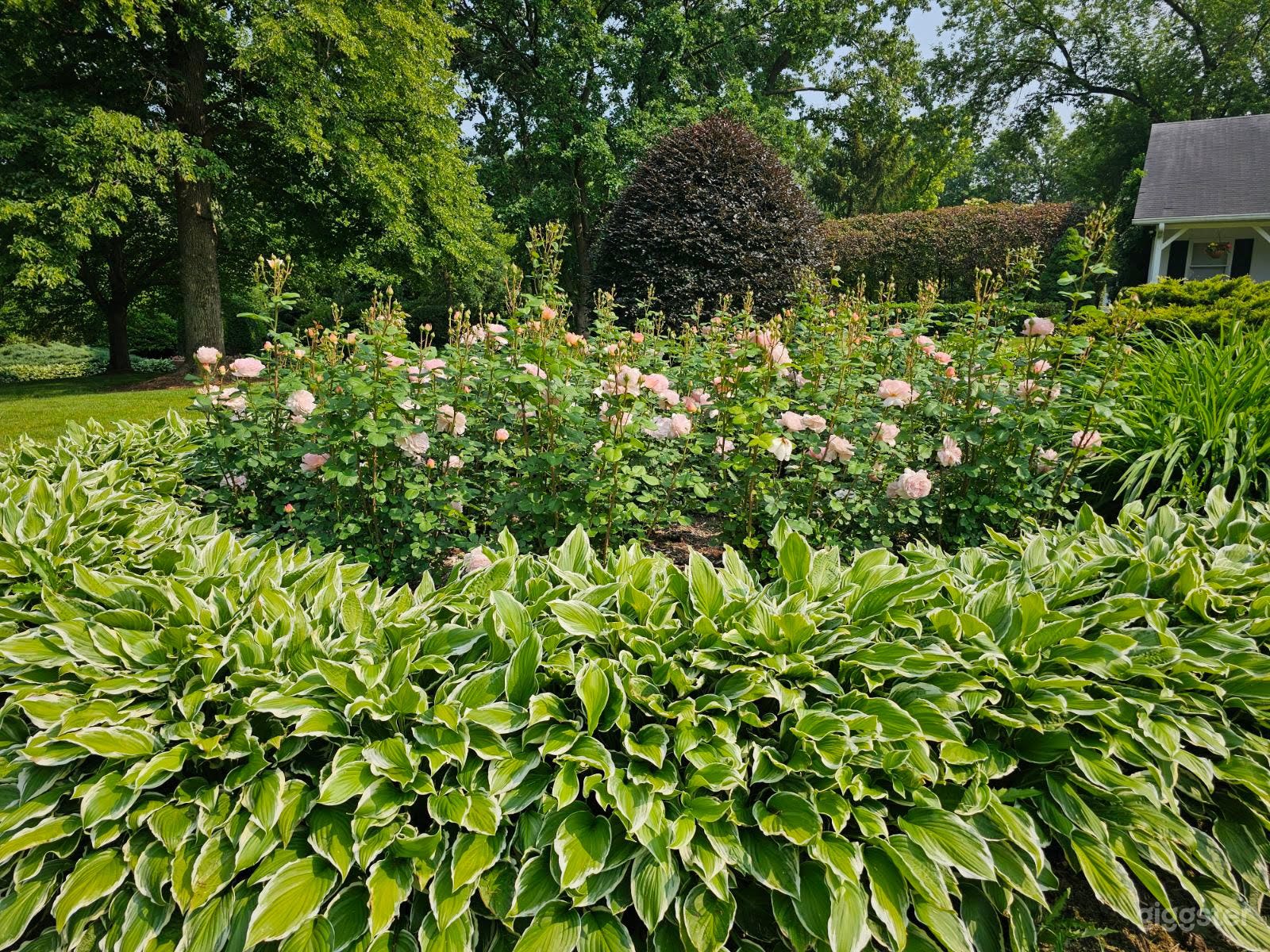 Rose Garden with Beautiful Gazebo on the Lake Side Photo 4