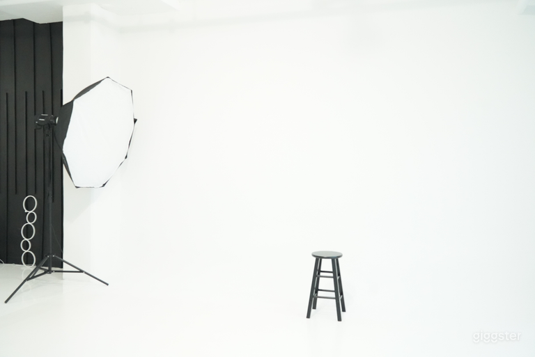  Elegant Loft Photo Studio Downtown Brooklyn 