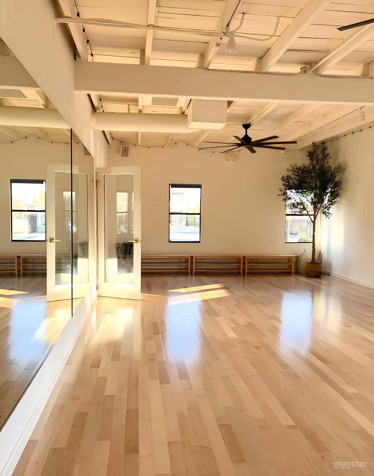 Brightly-Lit Dance Studio  Photo 4