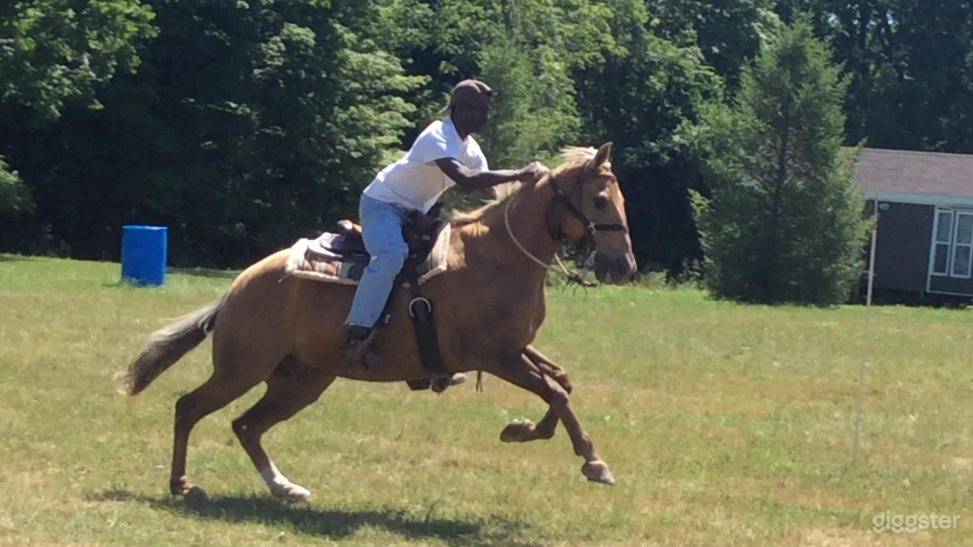 Rustic Horse Ranch Photo 3