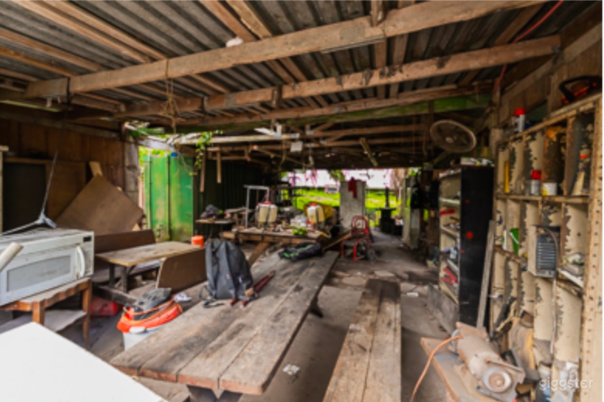 Coconut palm tree farm and tropical nursery Photo 4