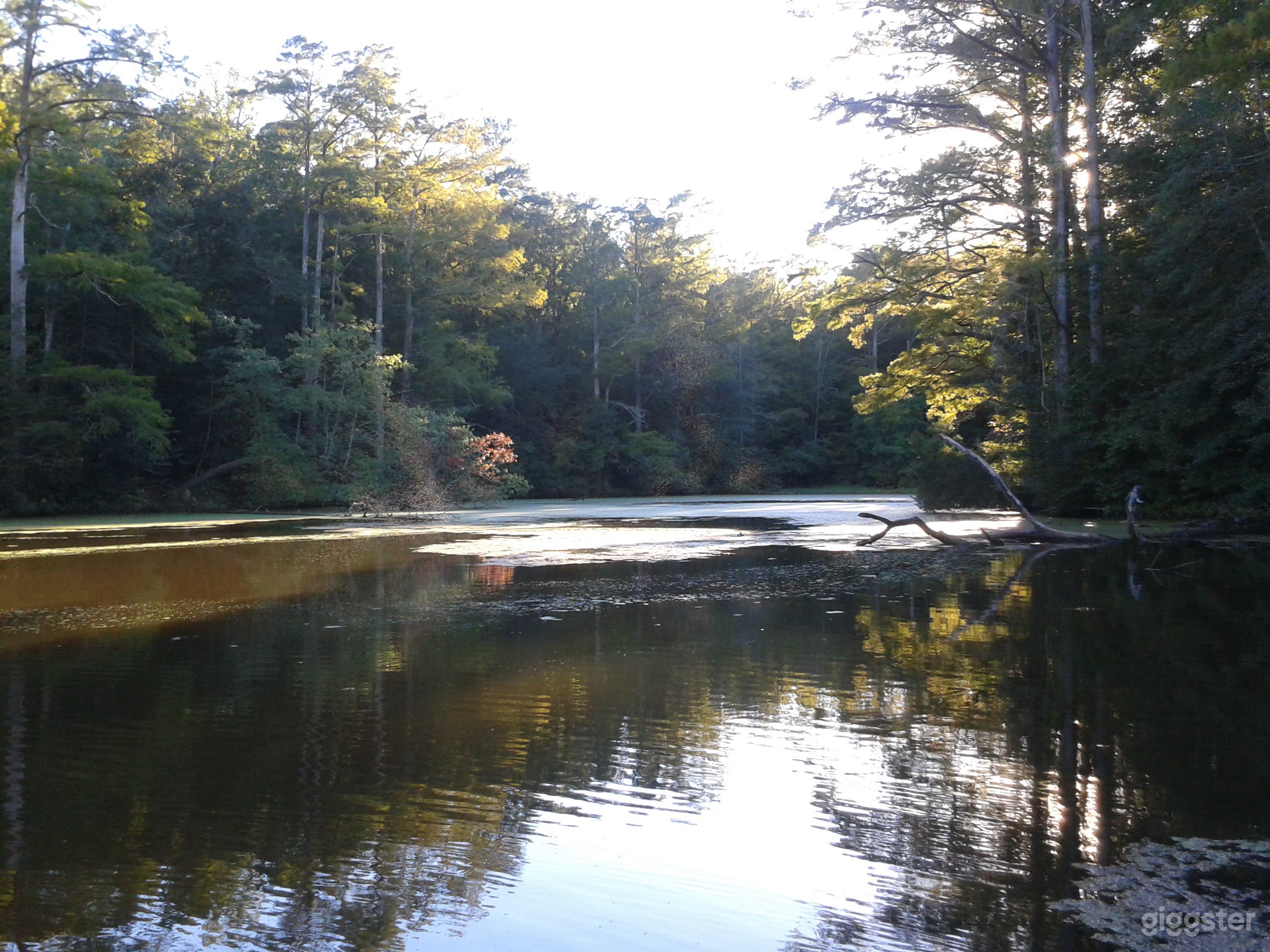 A rustic haven in Williamsburg, Virginia Photo 2