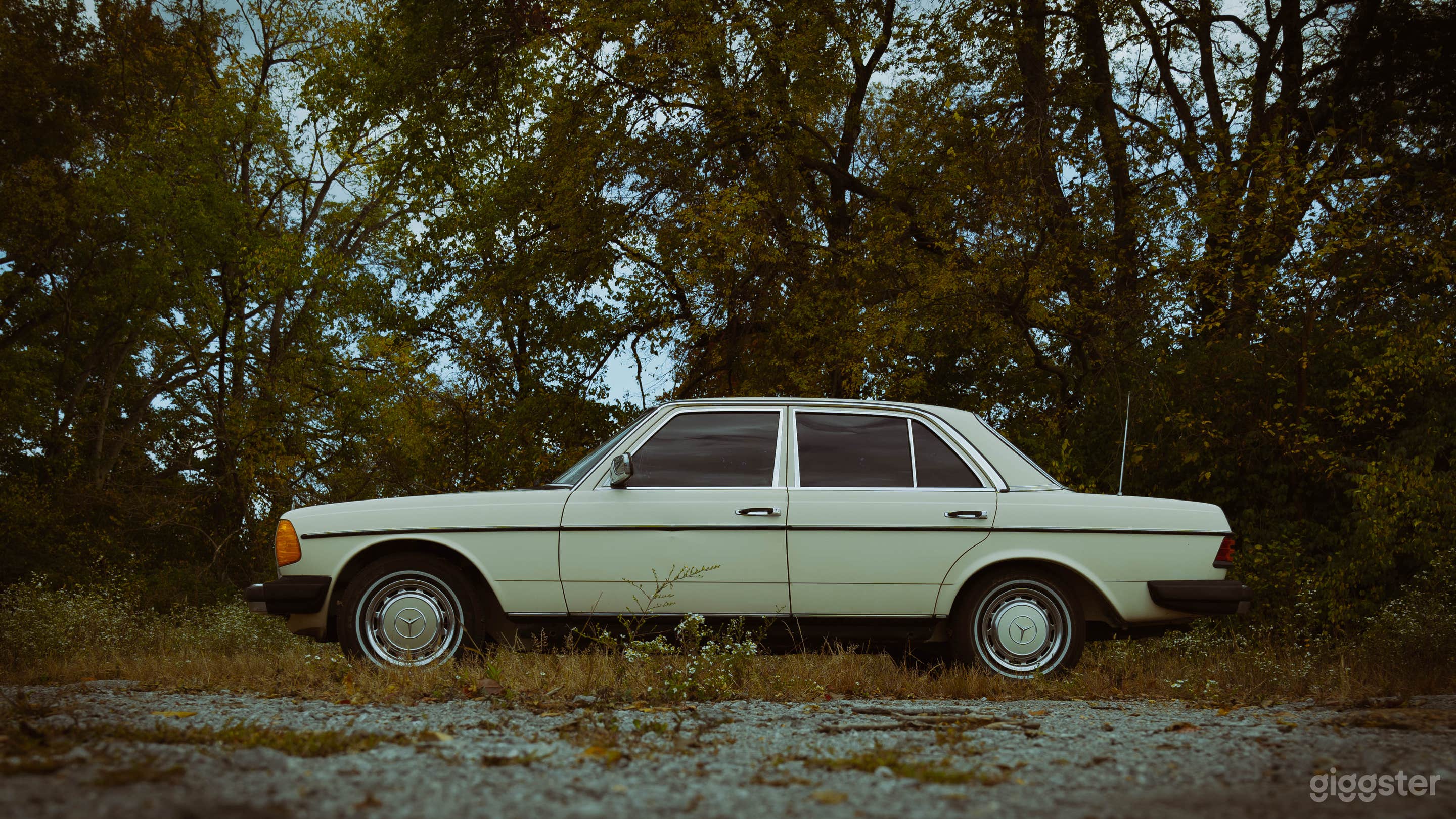 The Nashville Benz | Vintage 1978 Mercedez Benz Photo 3
