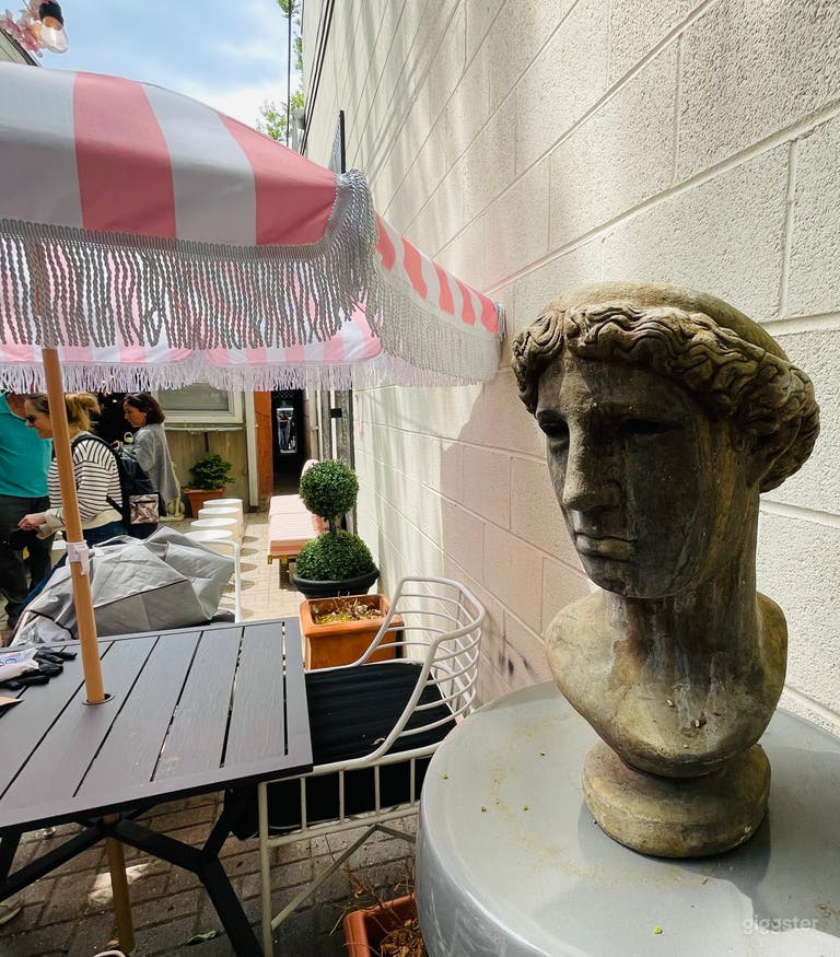  Spacious Georgetown courtyard and antique shop 
