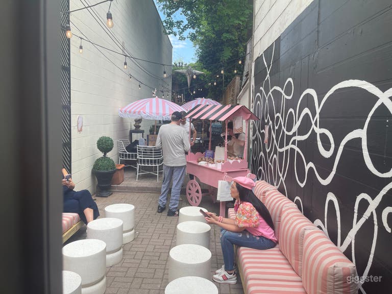  Spacious Georgetown courtyard and antique shop 