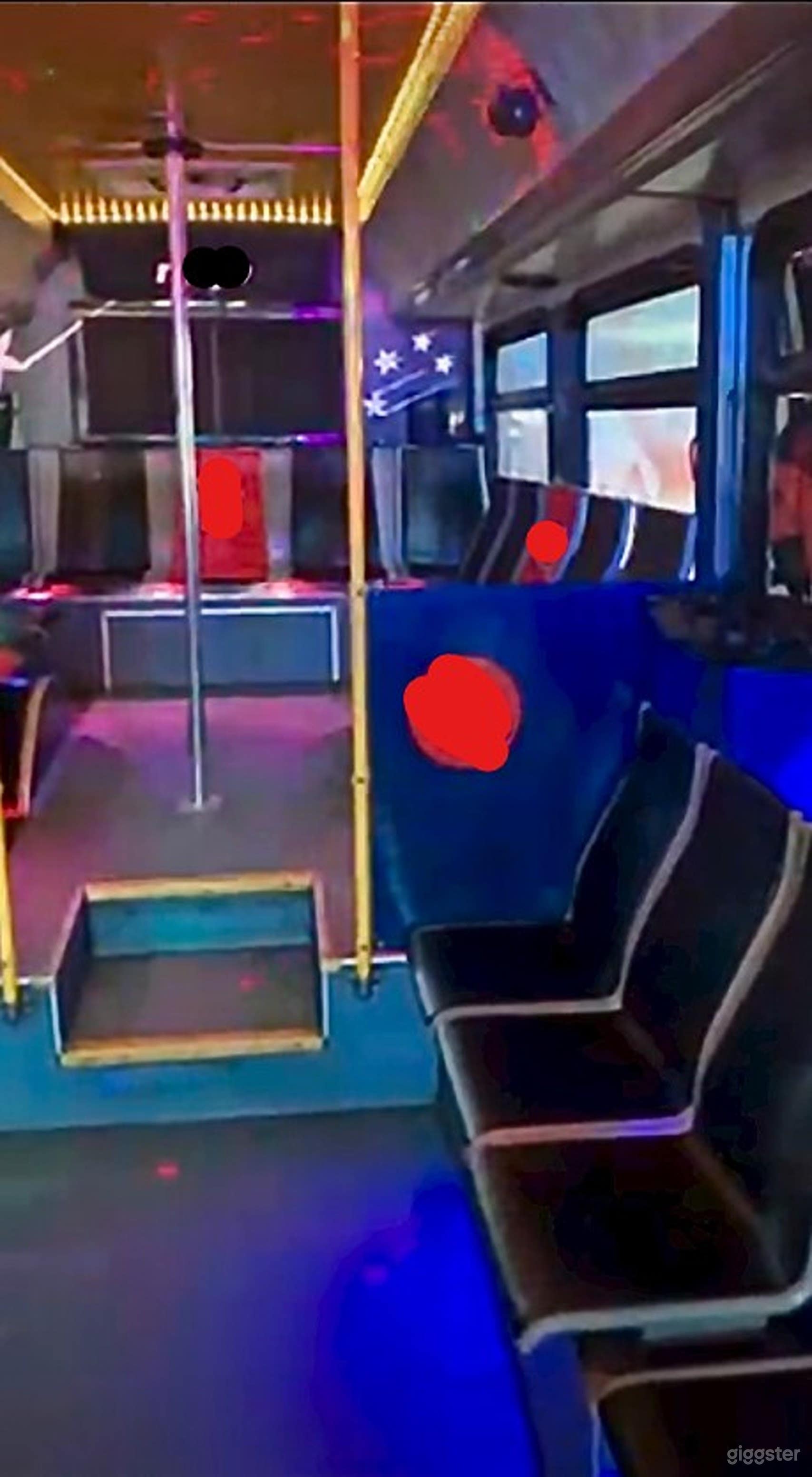 Stylish Party Bus  Photo 3