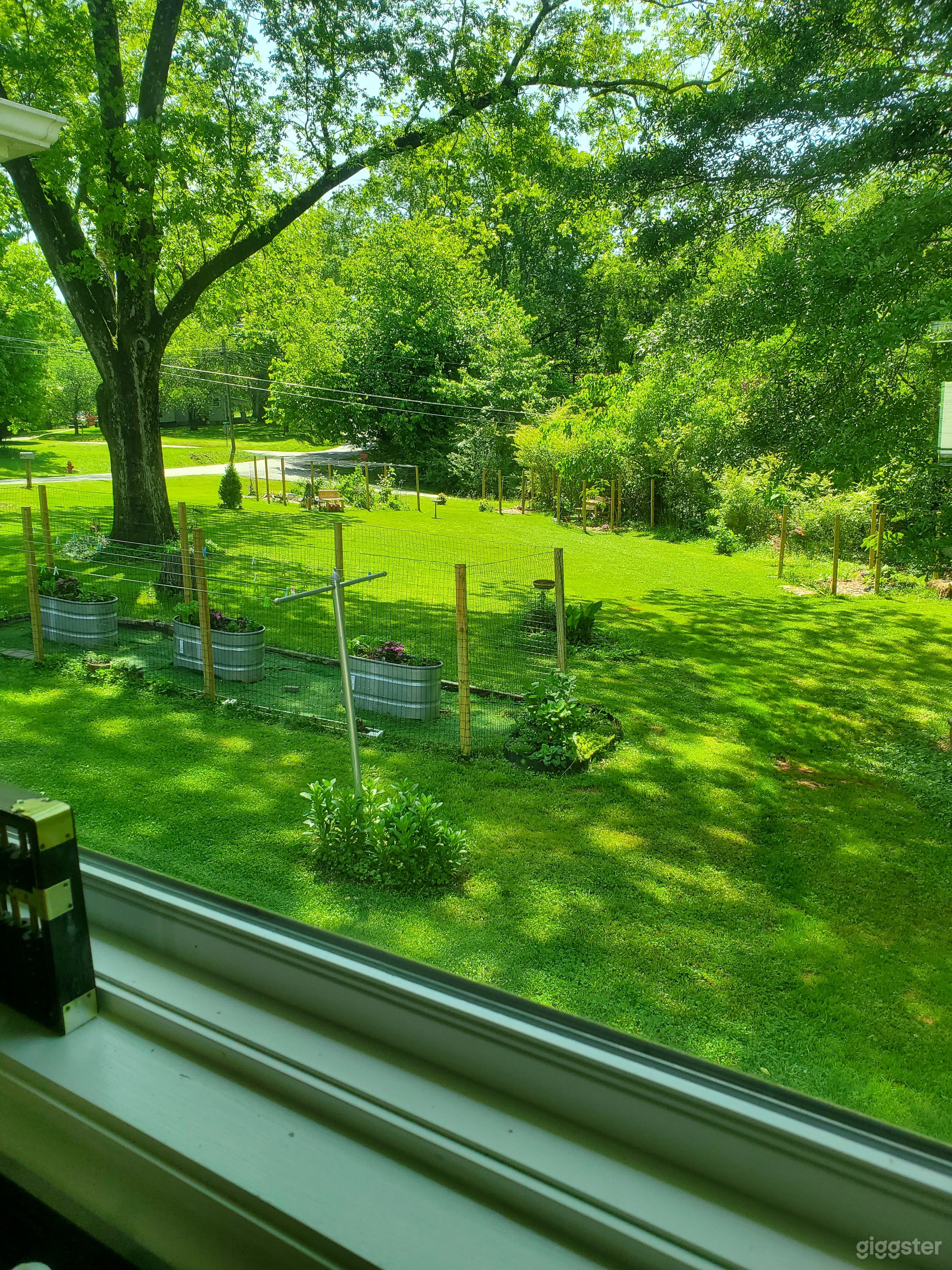 Additional acreage with dense trees and undergrowth.