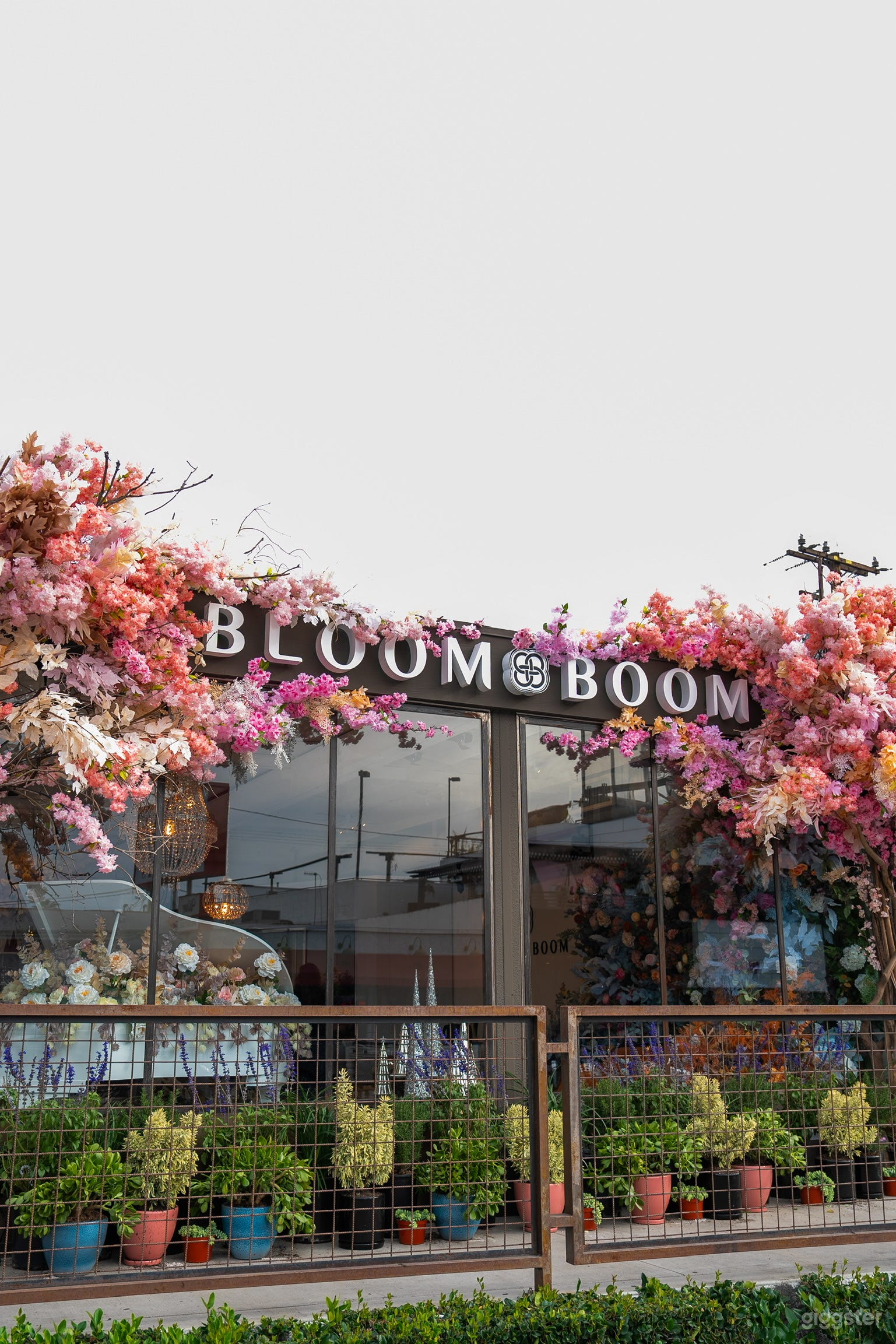 West Hollywood flower fairytale Photo 2