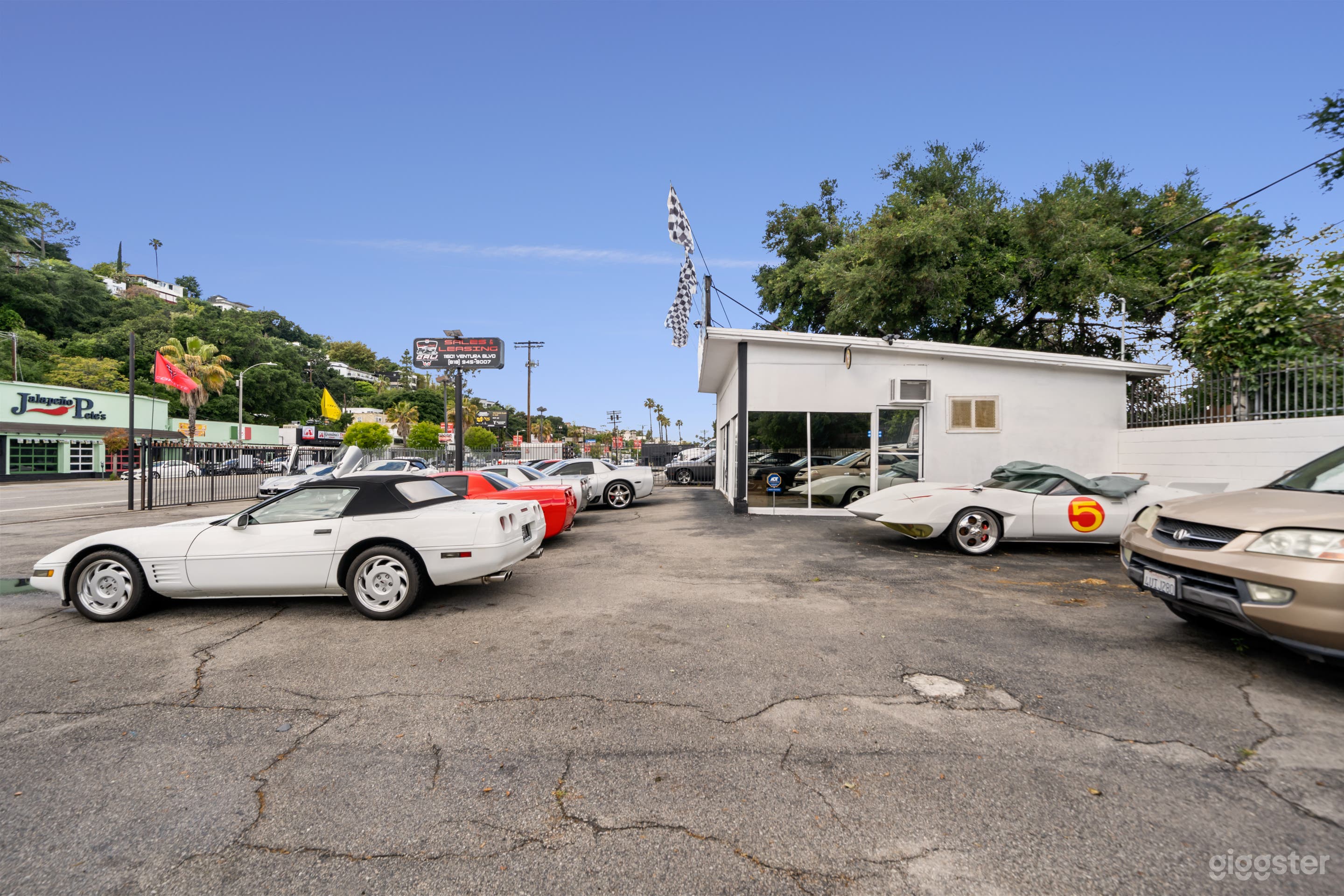 CLASSIC CAR COLLECTION – VINTAGE &amp; EXOTIC SHOWCASE Photo 4