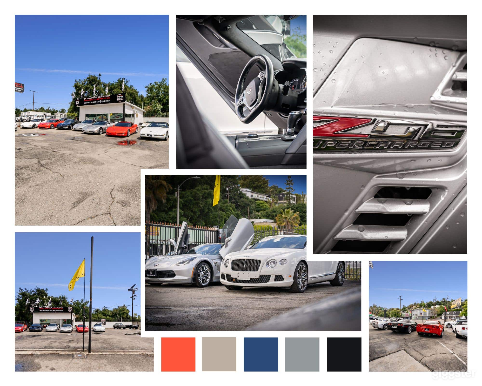 CLASSIC CAR COLLECTION – VINTAGE &amp; EXOTIC SHOWCASE Photo 1