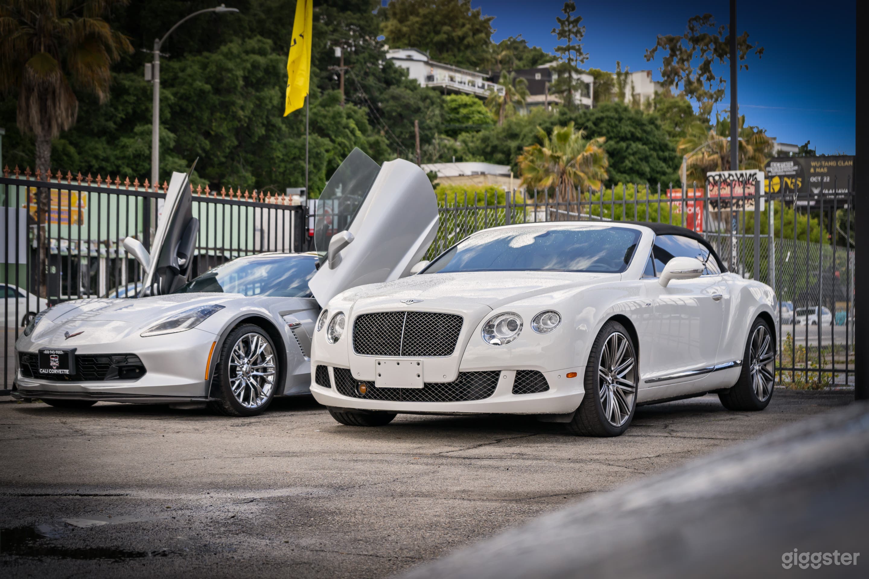 CLASSIC CAR COLLECTION – VINTAGE &amp; EXOTIC SHOWCASE Photo 3