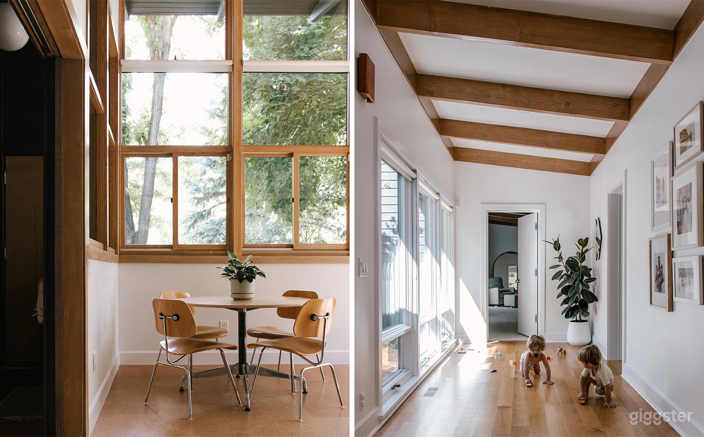 Mid-Century Modern Haven Photo 3