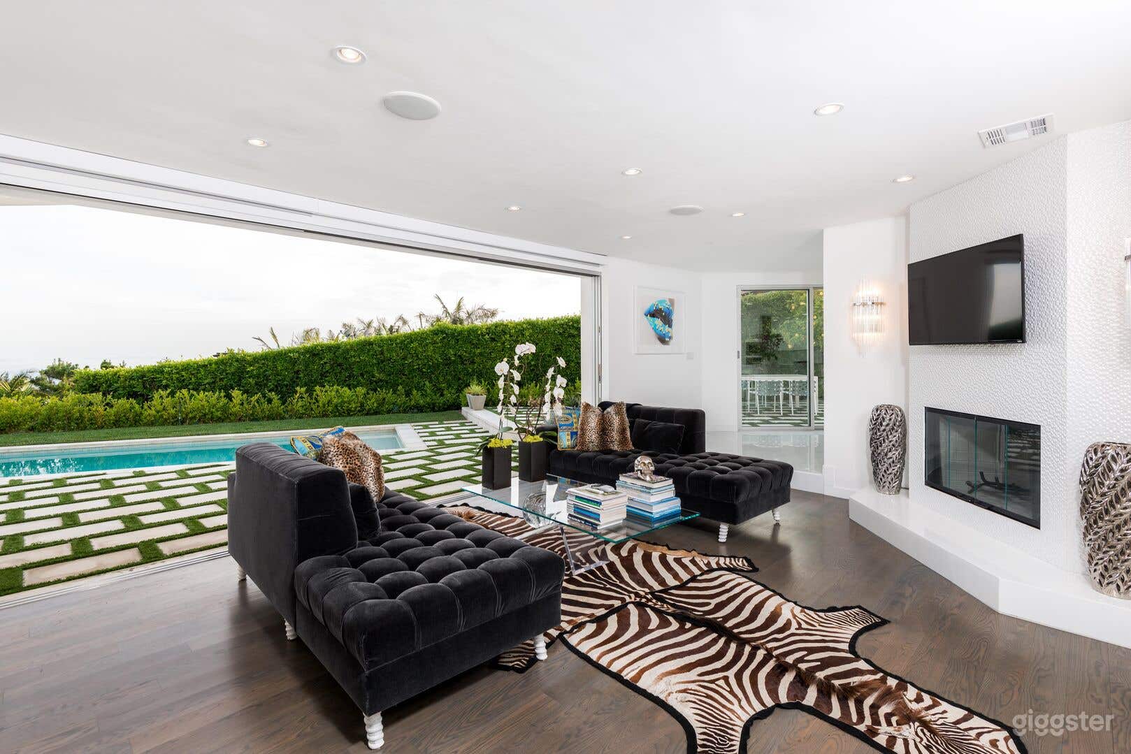 Modern Magnificent Home Photo 3