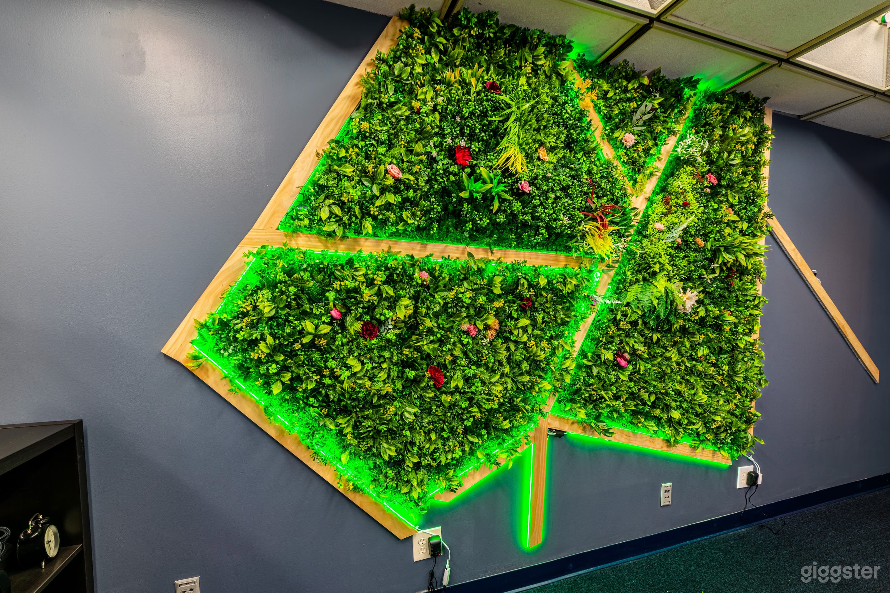 Wide shot in Studio C displays the unique grass wall with wood and LED light accents, offering a vibrant, naturalistic backdrop for creative visuals.