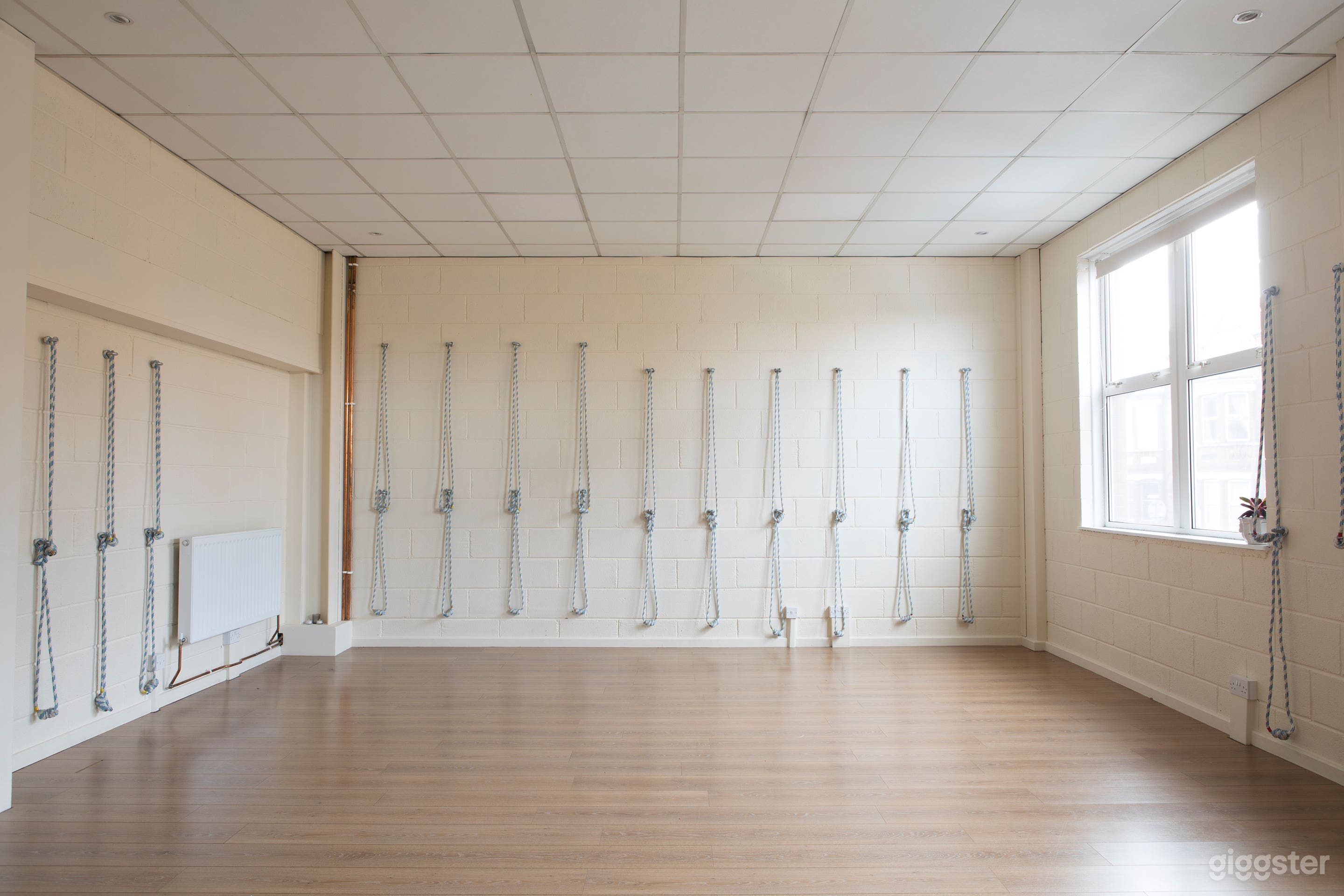Light coloured room, high suspended ceiling, yoga wall ropes (can be removed)