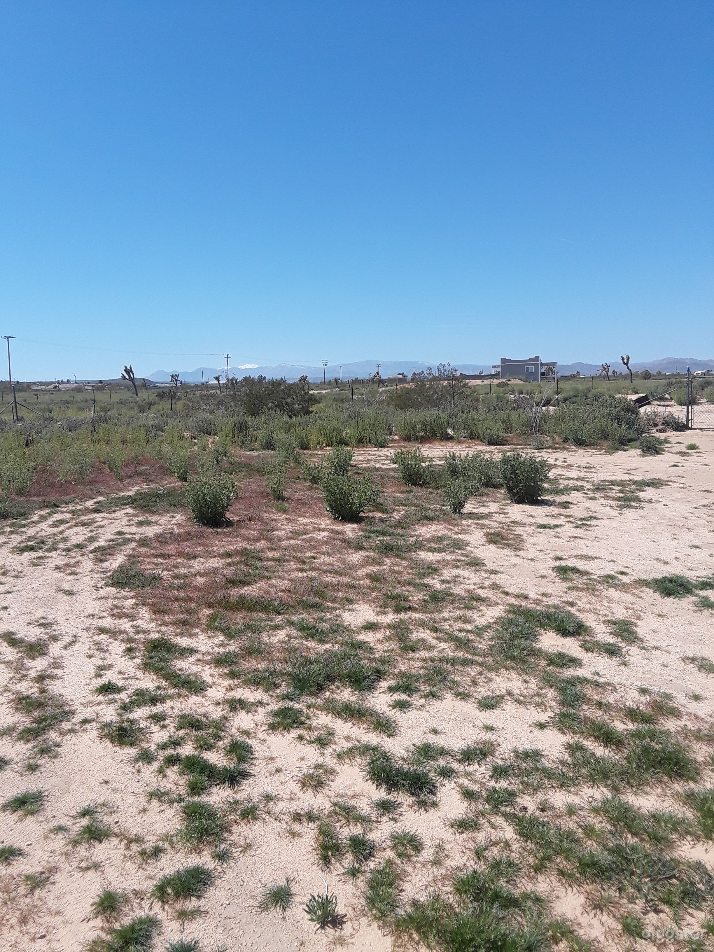 The Dome house  Photo 4