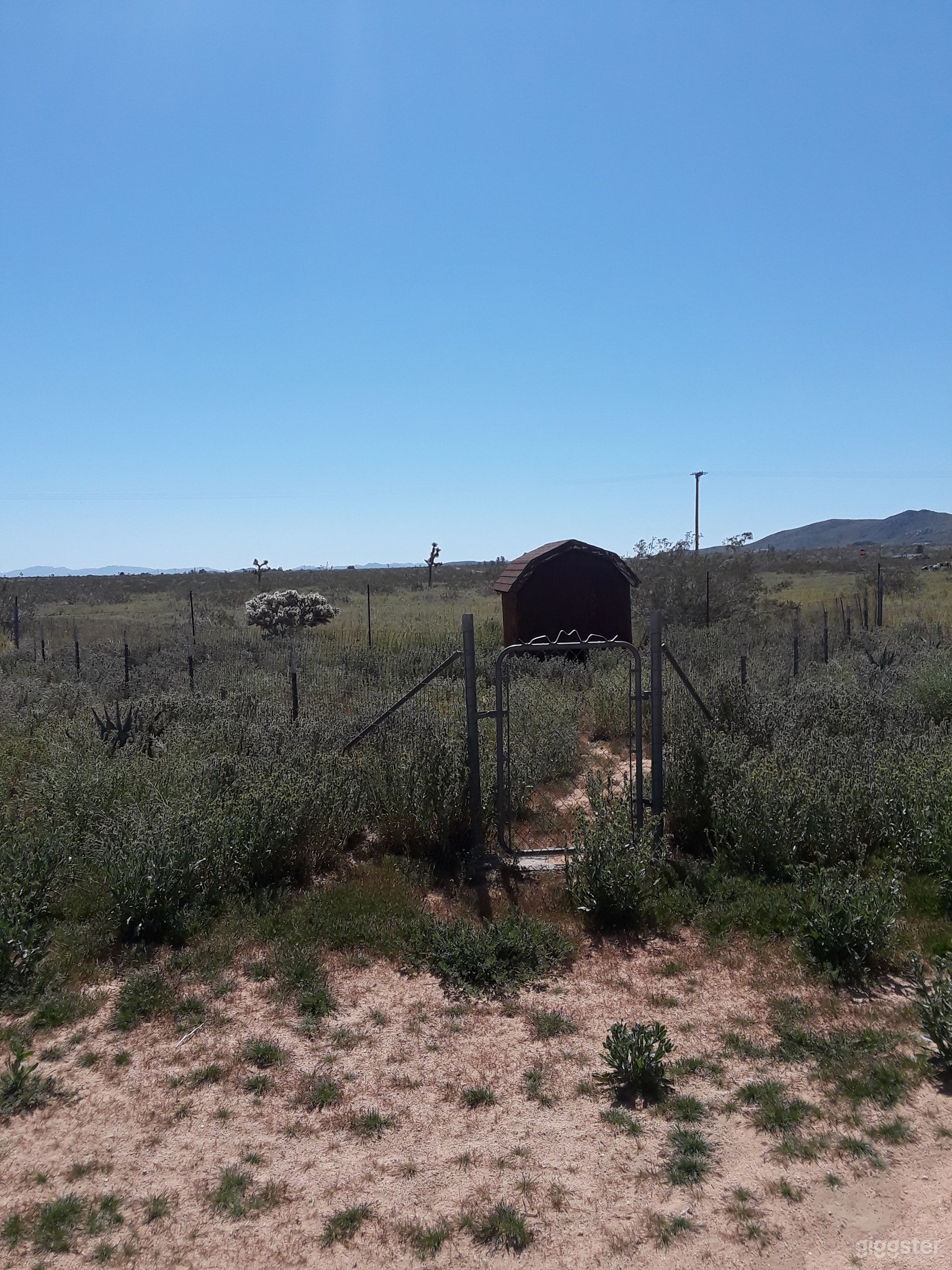 The Dome house  Photo 3