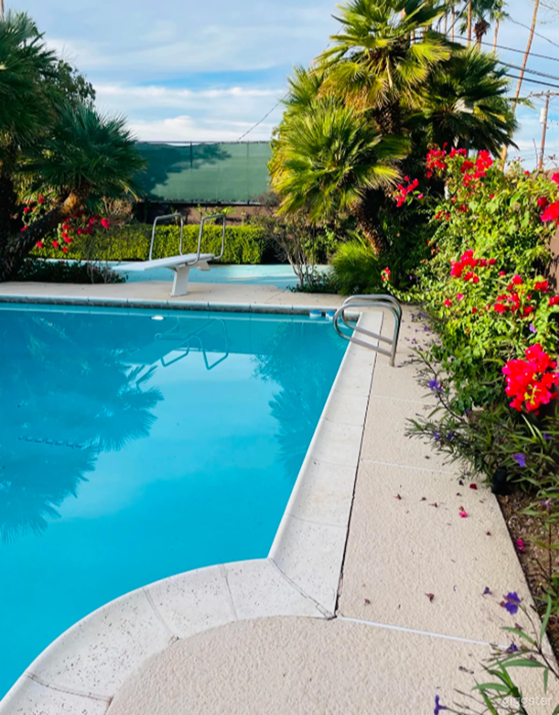 Large Private Pool With Classic Diving Board Photo 3