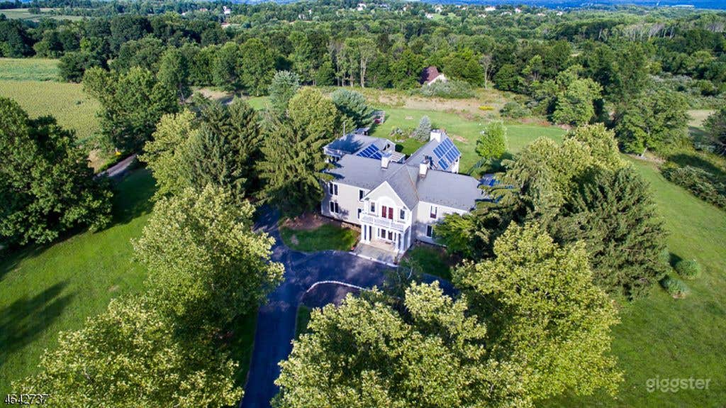 Long approach turnaround driveway lined with mature London Planes.