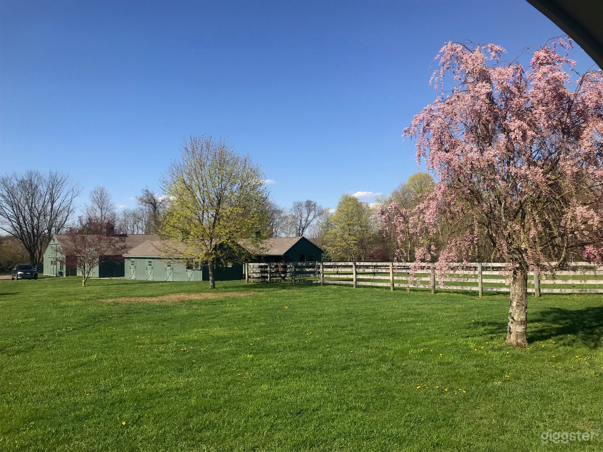 Barn in Equestrian Estate Photo 3