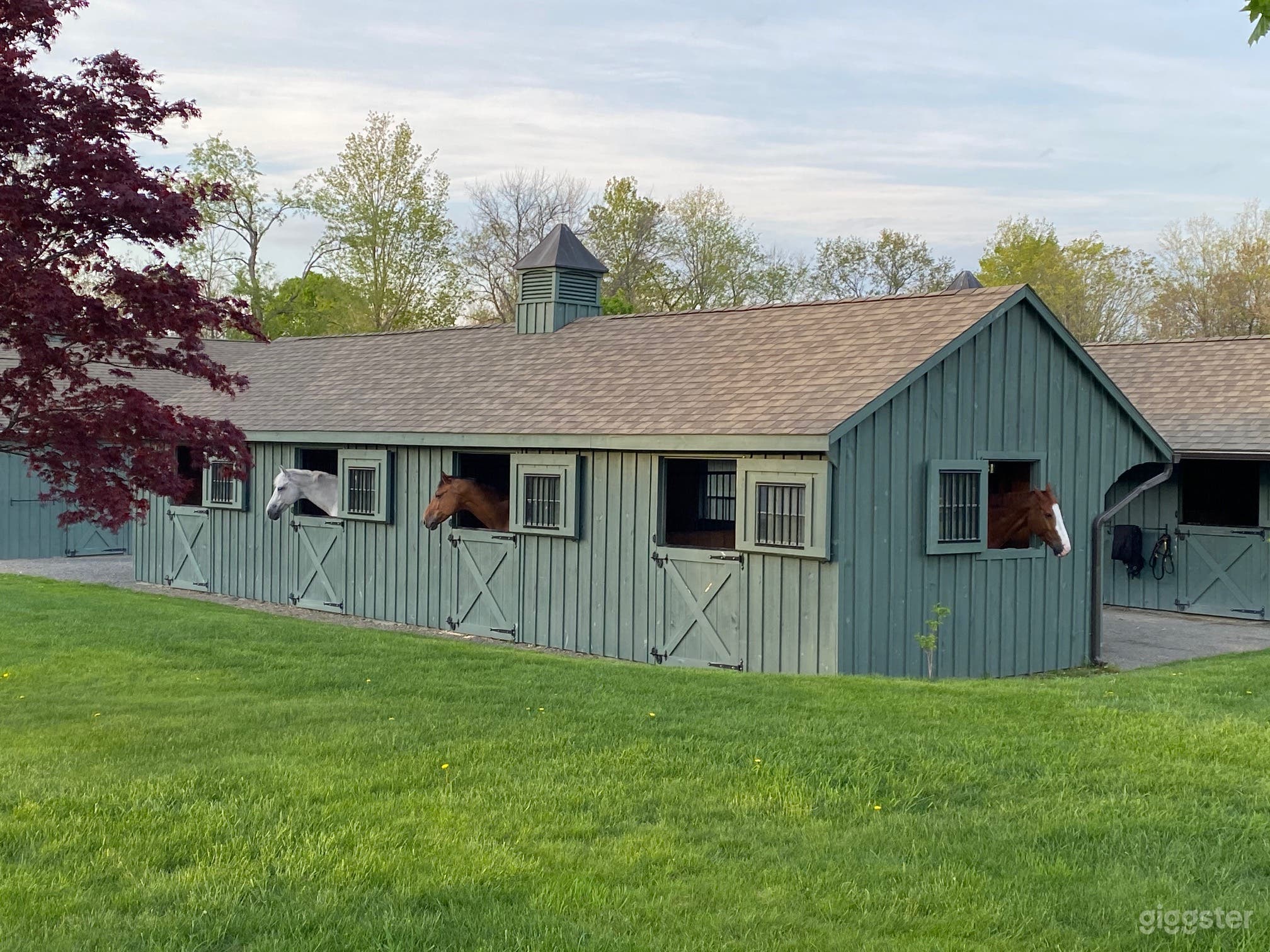 Barn in Equestrian Estate Photo 4