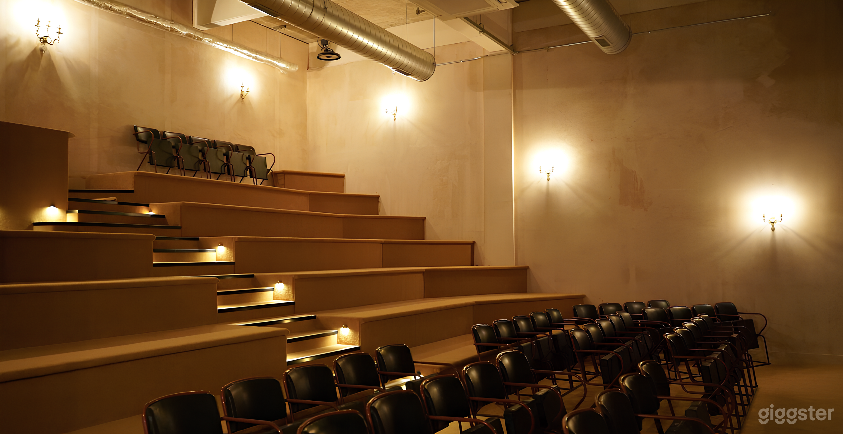Versatile Auditorium Space in Greater London Photo 4