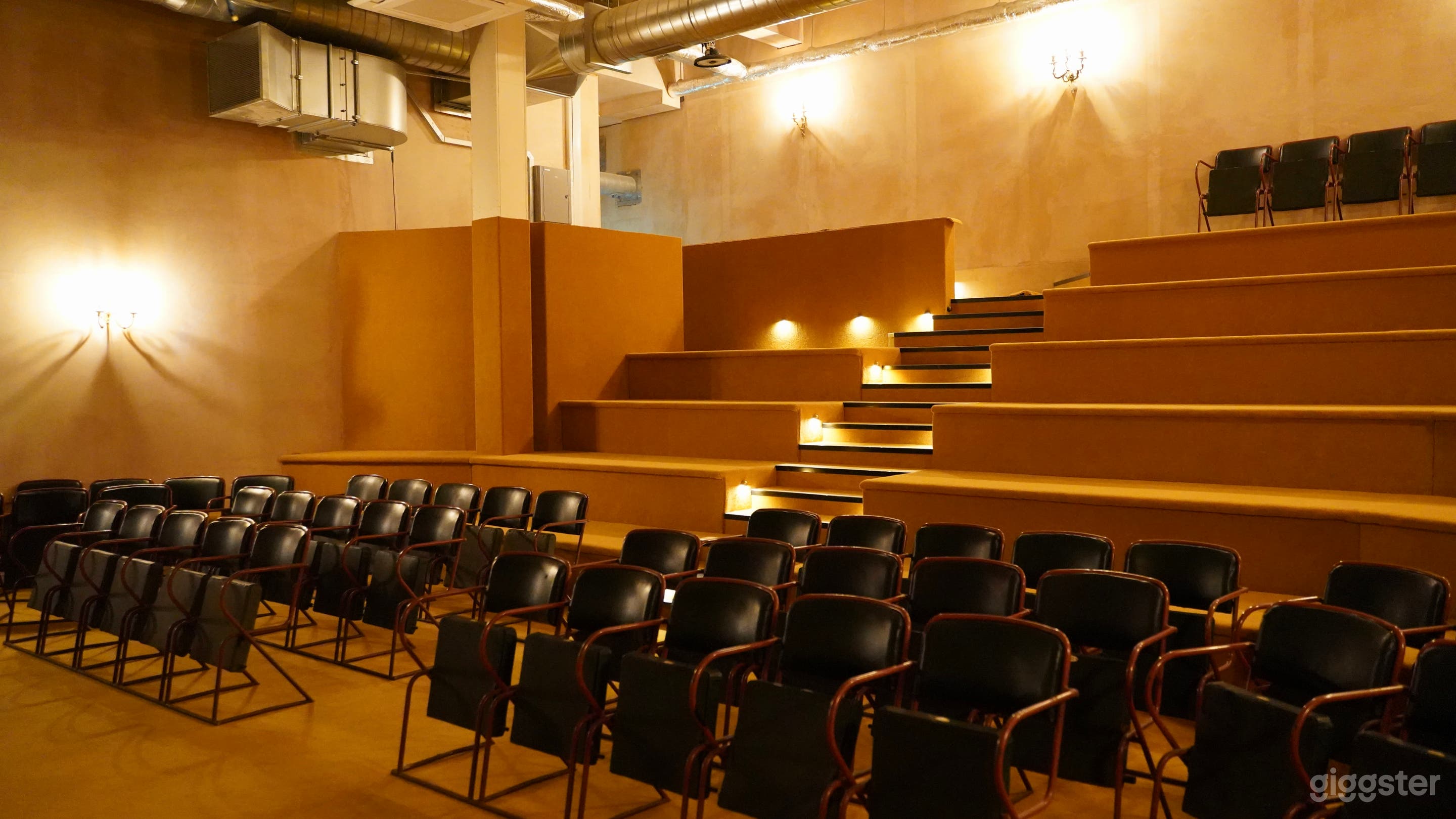 Versatile Auditorium Space in Greater London Photo 2
