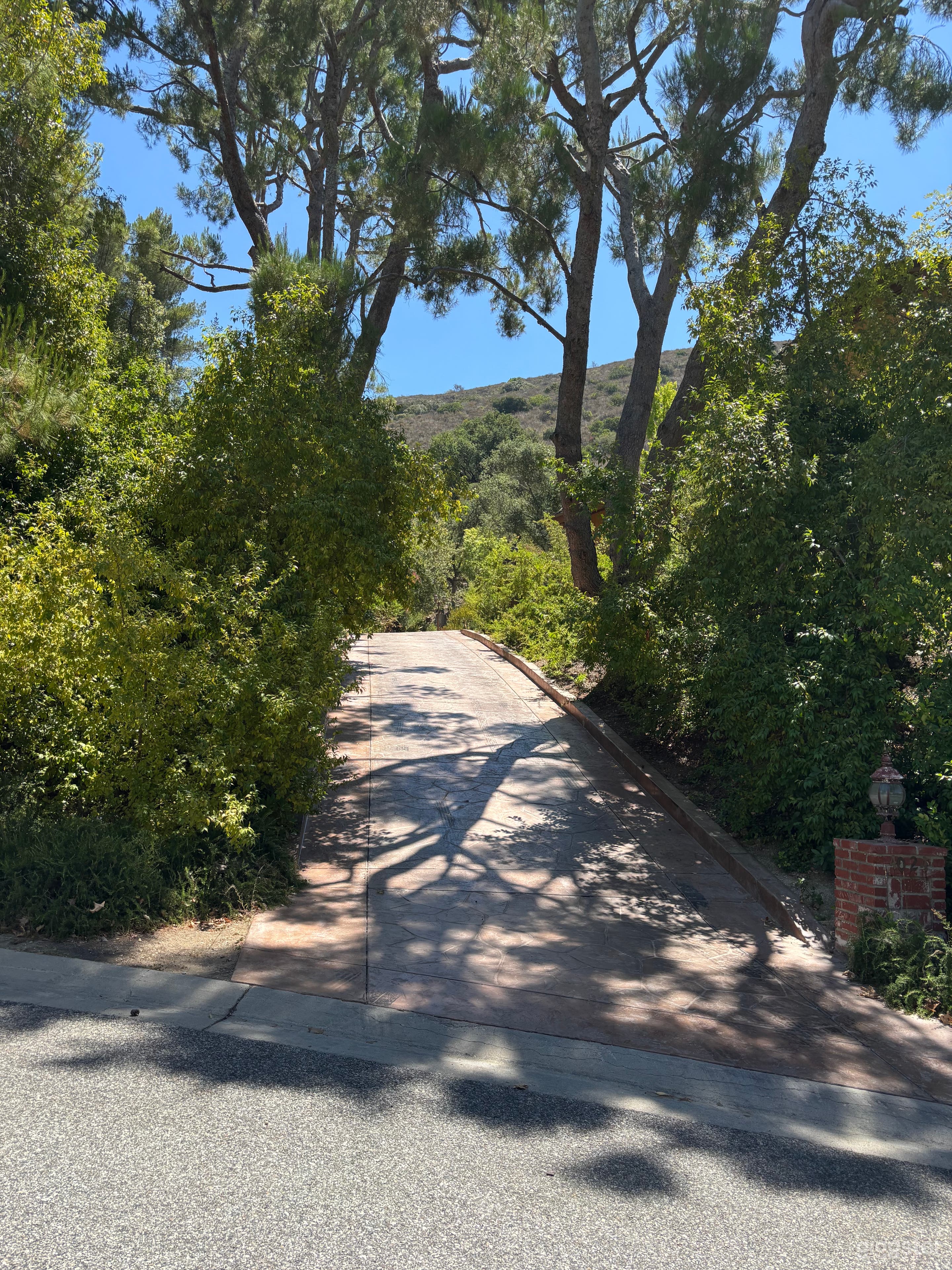 Driveway from street  level to entrance 


