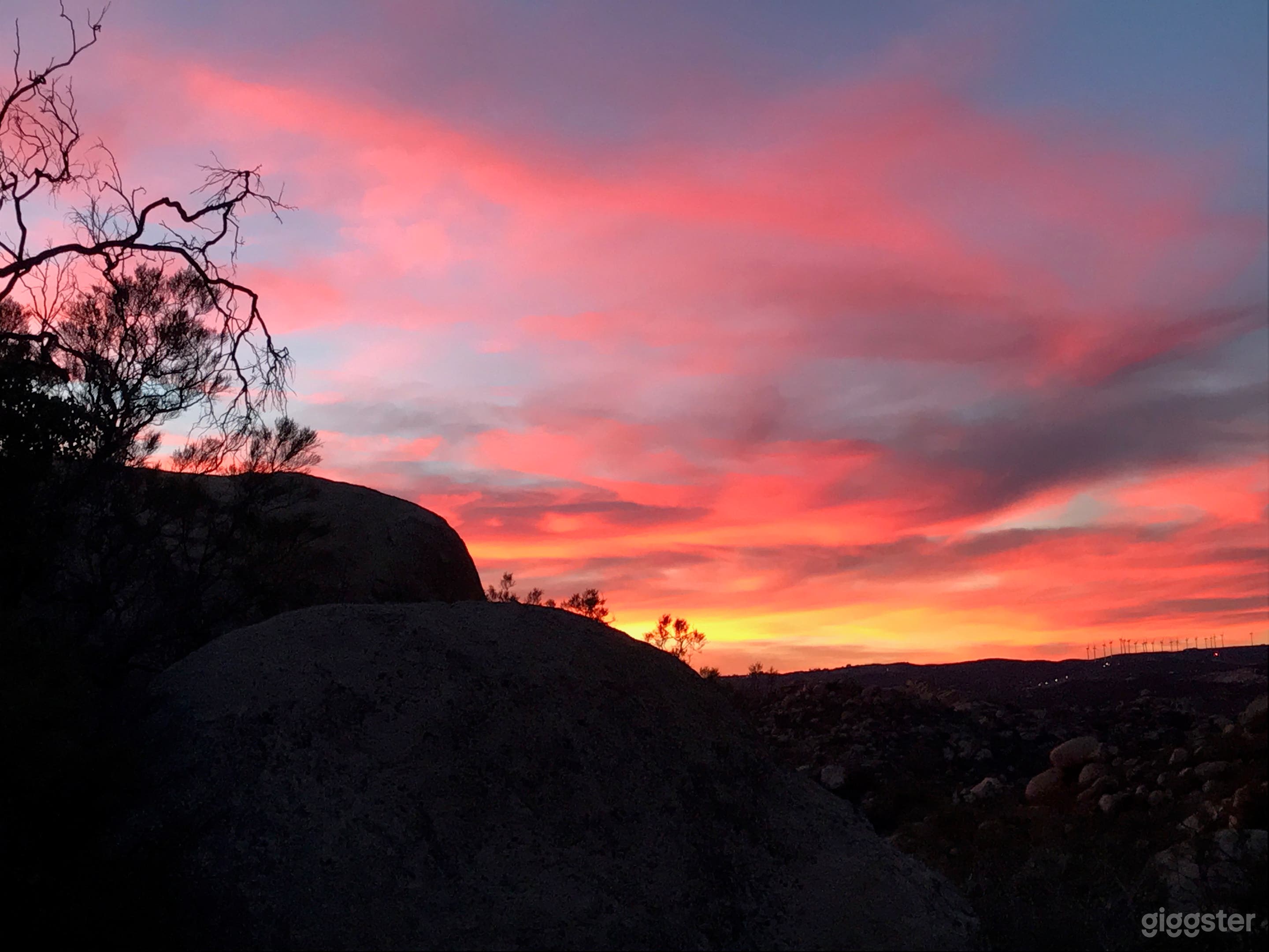 nightly spectacular sunsets
