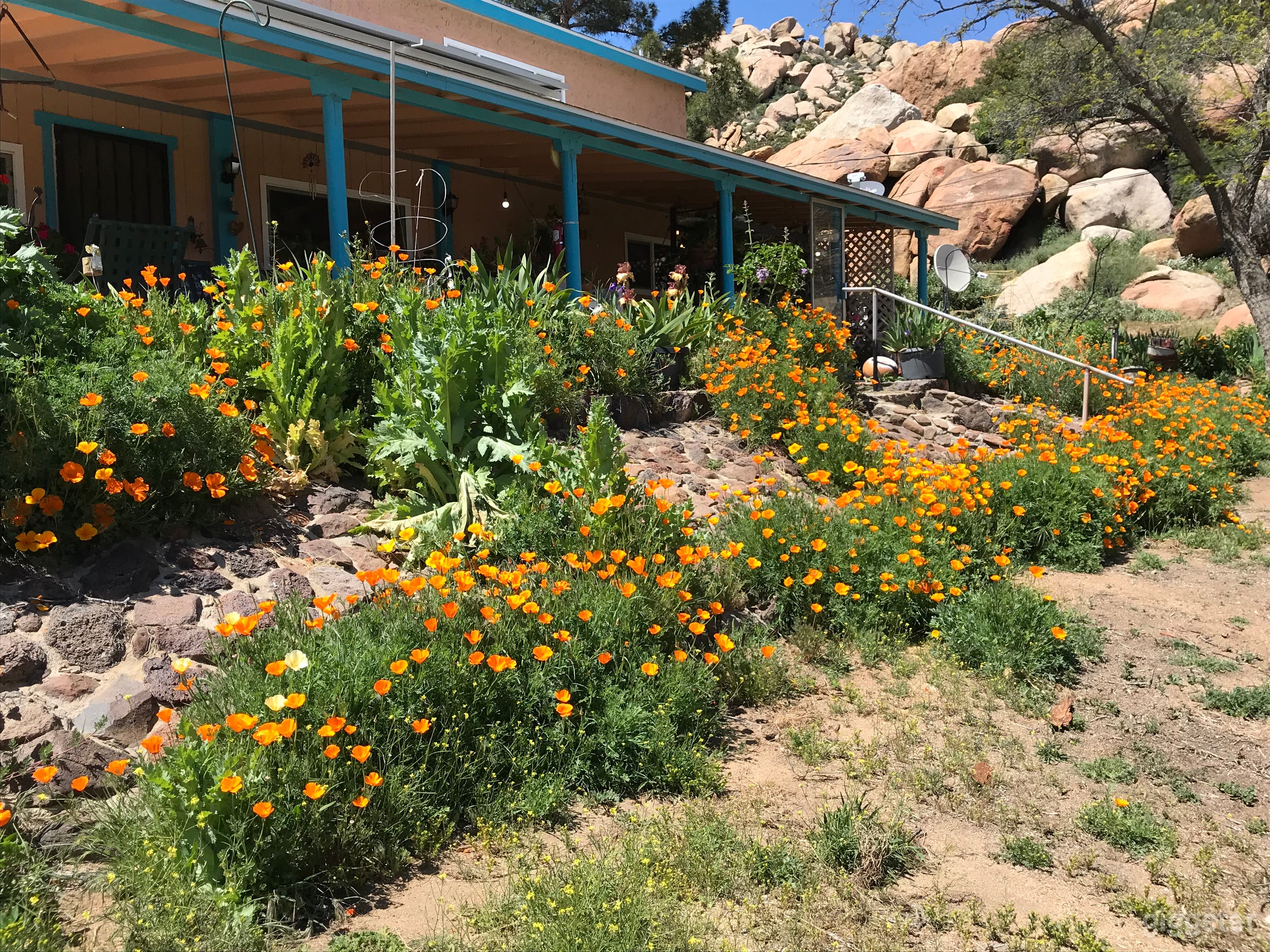 front of house in spring
