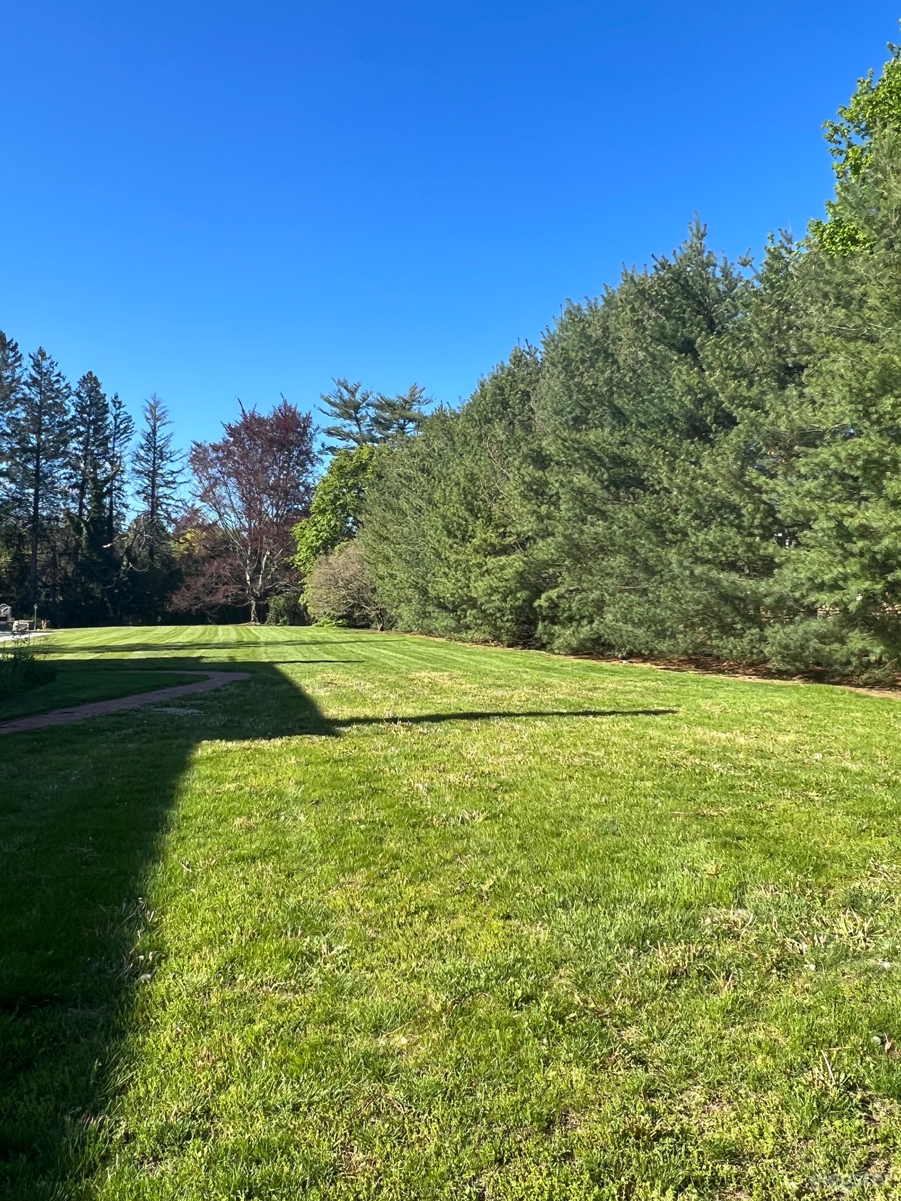 Side and back yard heading toward hidden gazebo.