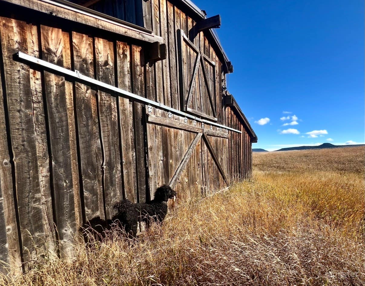 Stunning Horse Ranch - Beautiful Landscapes & Wildlife Photo 1
