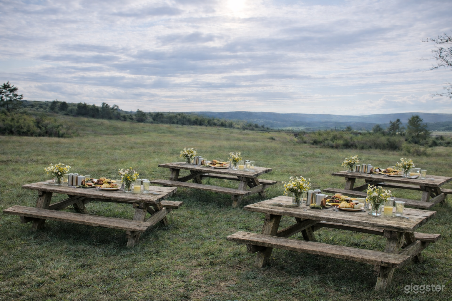 Stunning Horse Ranch - Beautiful Landscapes & Wildlife Photo 3